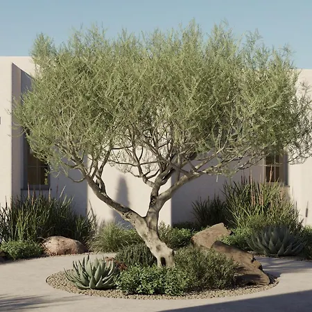 Elion Private Pool بلدة كوس